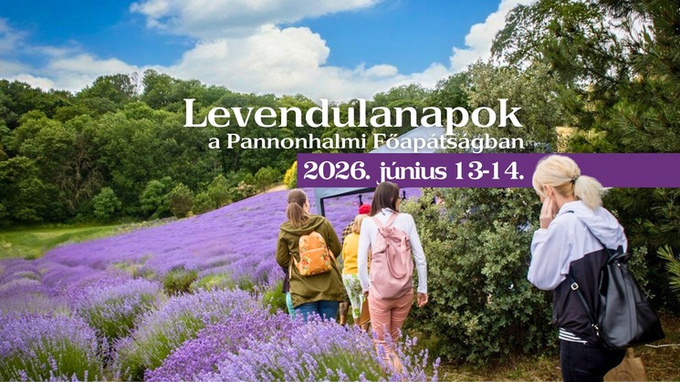 Levendula szüret Pannonhalma 2026 - Szedd magad levendula a Pannonhalmi Főapátság Gyógynövénykertjében