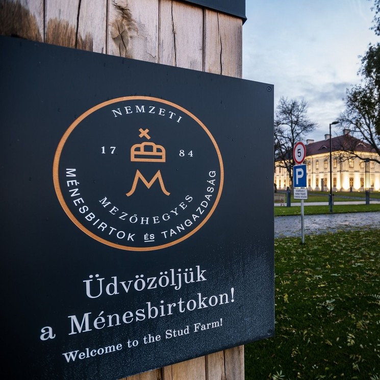 Mezőhegyesi Ménesbirtok látogatás
