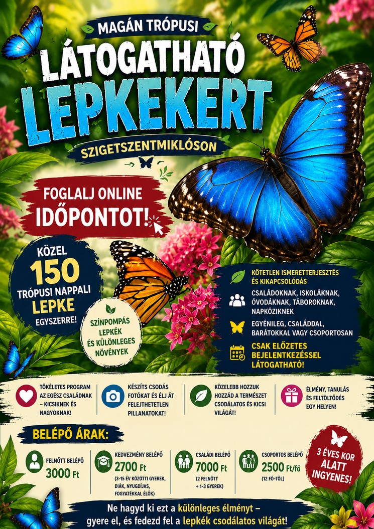 Trópusi lepkekert látogatás, fedezd fel a lepkék színpompás és sokszor meghökkentően érdekes világát!