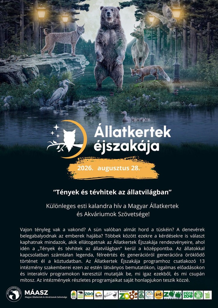 Állatkertek Éjszakája Veresegyház 2026 – esti kaland a Medveotthonban