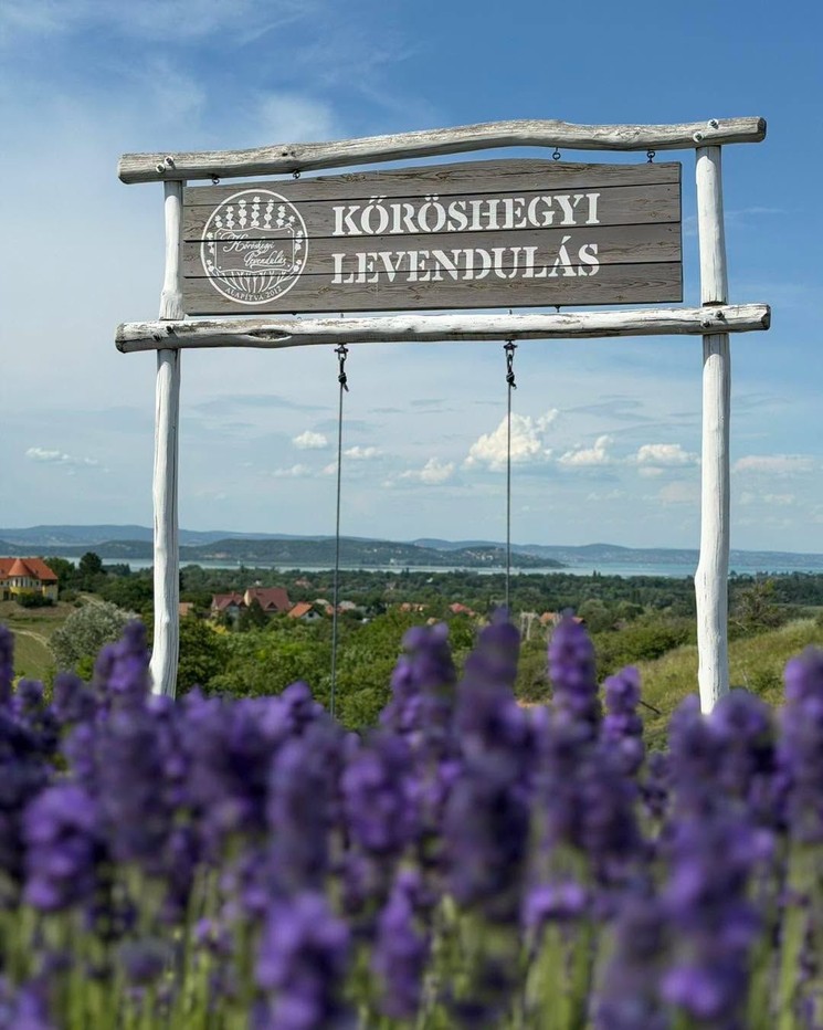 Kőröshegyi Tulipán & Levendula Park programok 2026