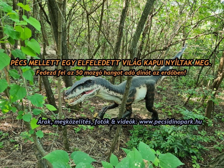 Dinó Park Pécsen a festői Malomvölgyben, egy szuper program az egész családnak játékokkal kicsiknek és nagyoknak!