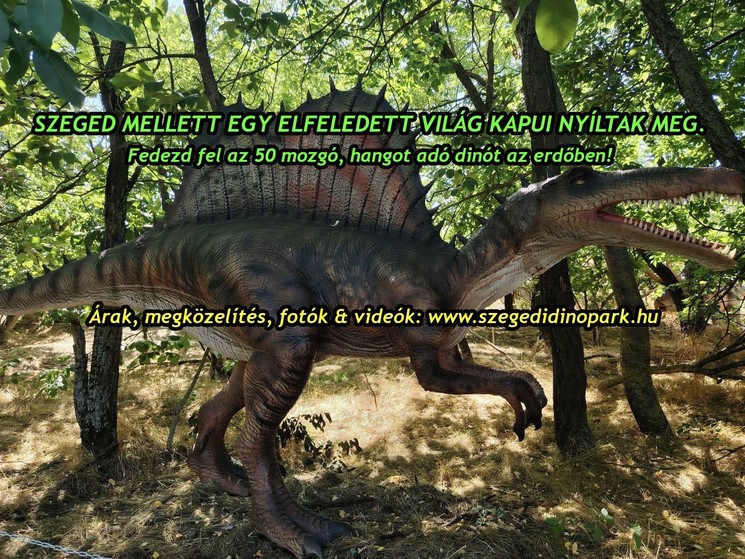 Dinó Park Szeged mellett, egy szuper program az egész családnak játékokkal kicsiknek és nagyoknak!