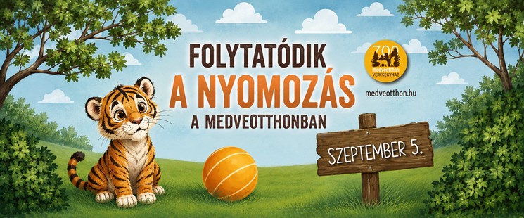 Családi nap Veresegyház 2026 - Nyomozós játék a Medveotthonban