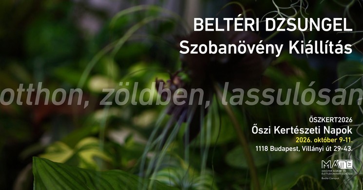 Szobanövény kiállítás 2026 Budapest