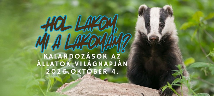 Állatok Világnapja 2026 - Látványetetések és állatbemutatók a Körösvölgyi Állatparkban