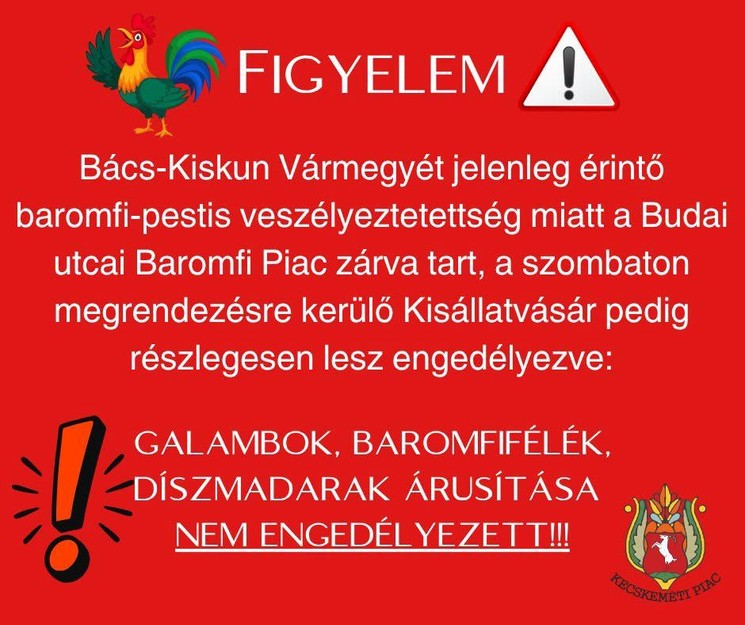 Baromfi Piac Kecskemét 2026