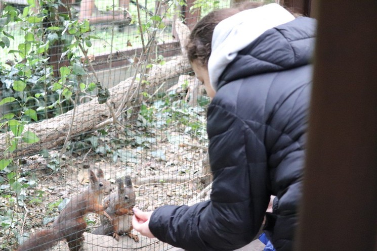 Karácsony az Állatparkban 2026 - Ünnepi látványetetés és állatismertető a Körösvölgyi Állatparkban