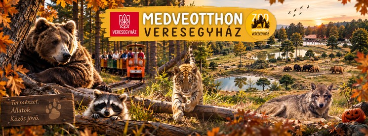 Látványetetés és hétvégi programok a Veresegyházi Medveotthon területén 2026 márciustól októberig