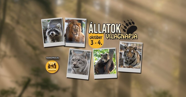 Állatok Világnapja Veresegyházi Medveotthon 2026