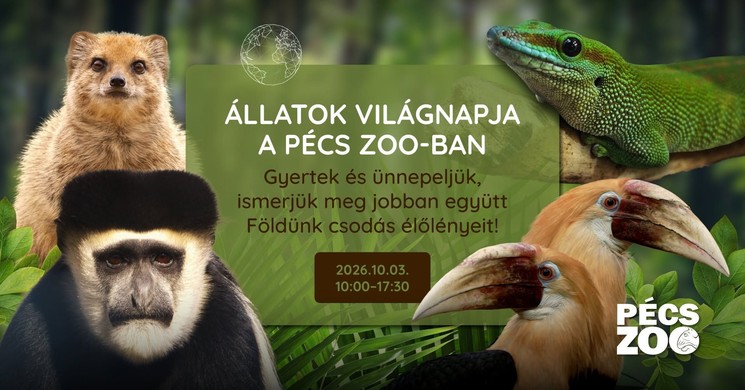 Állatok Világnapja Pécs 2026 Pécsi Zoo