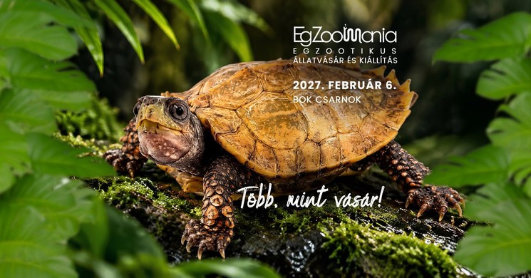 Egzotikus állatok Budapesten 2027 - EgZoo Mania Egzootikus Állatvásár és Kiállítás