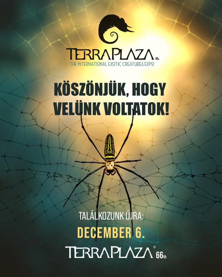 TerraPlaza 2026 Budapest - Egzotikus állat kiállítás