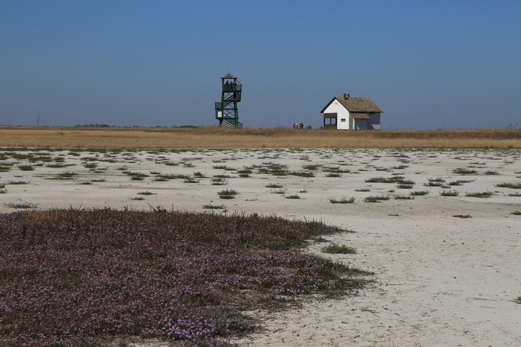 Magyar Nemzeti Parkok Hete 2026 Körös-Maros Nemzeti Park