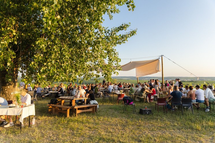 Szent Iván-éji tűzgyújtás 2026 Eger - Egy mágikus éjszaka a Síkhegyen