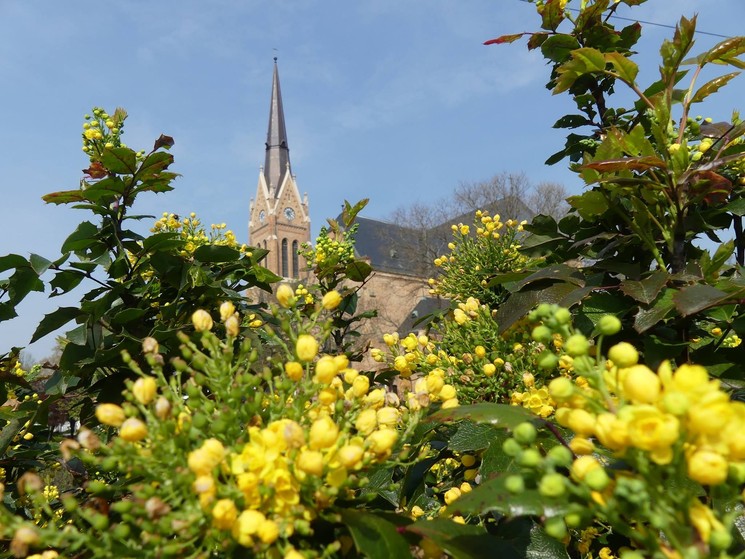 Bátaszéki programok 2026 - Események és rendezvények