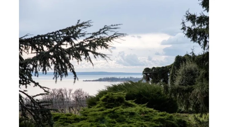 Folly Arborétum programok 2026 Badacsonyörs - Események, rendezvények