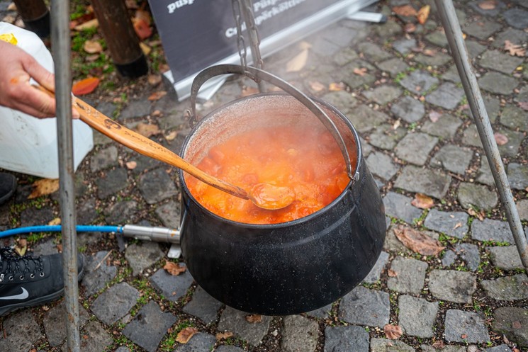 Gardália Tihany 2026 - A látott hal ünnepe 