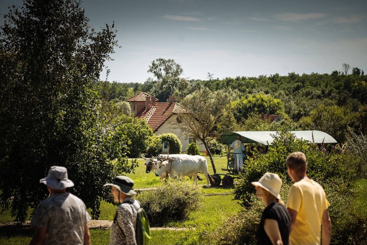 Krisna-völgy programok 2026 Somogyvámos