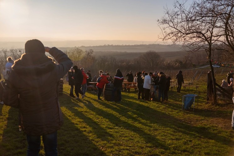 Bortúra Mór 2026. We Love Mór Bortúra szállással az Öreg Prés Butikhotelben