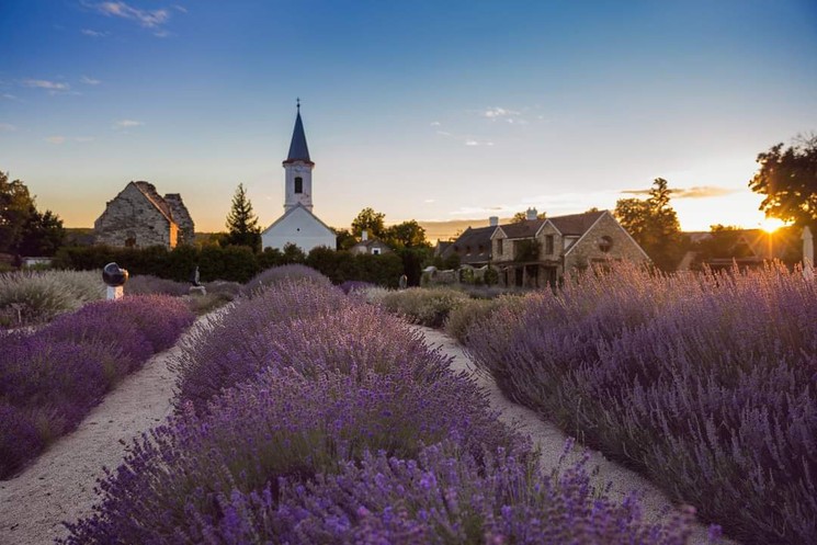 Dörgicse Éjszaka 2025. Elemlámpás családi kalandtúra