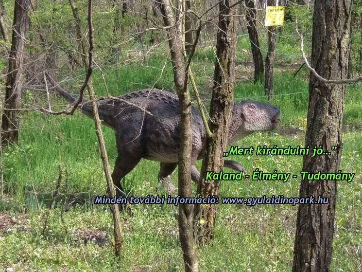 Dinó Park Gyulán, egy szuper program az egész családnak játékokkal kicsiknek és nagyoknak!