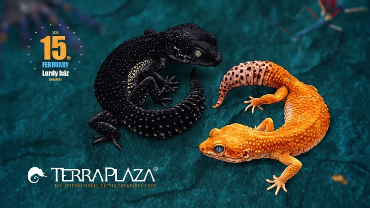 Akvarisztika kiállítások 2026 - Programok, események, rendezvények