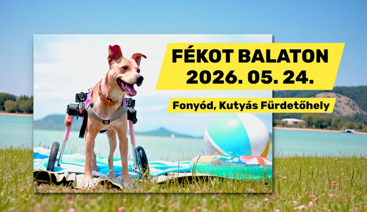 Fogyatékkal Élő Kutyák Országos Találkozója 2026 Fonyód