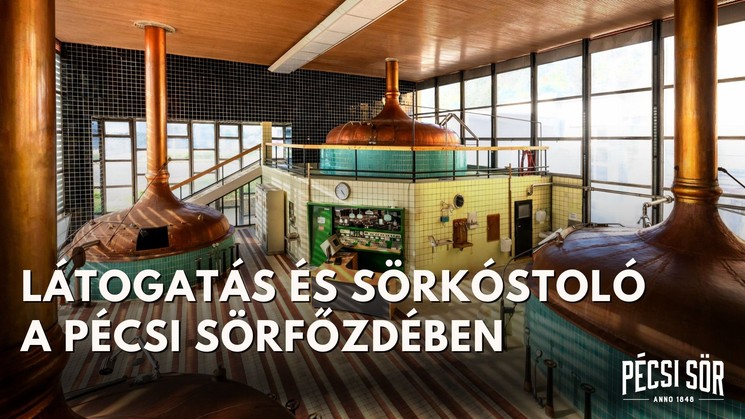 Pécsi sörtúra 2026. Pécsi Sör főzdelátogatás sörkóstolással 