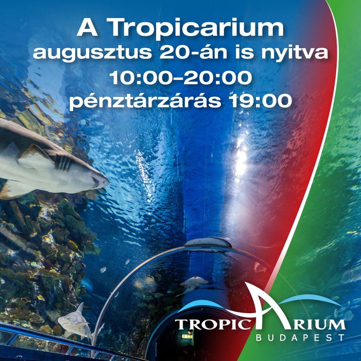 2026. augusztus 20 Budapest Tropicarium látogatás