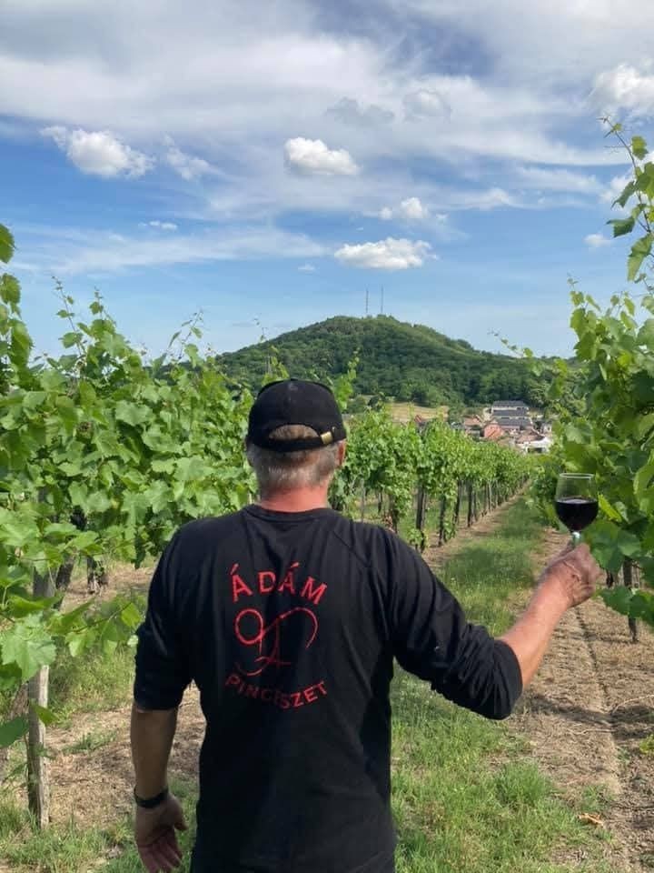Borkóstoló pincetúra Szekszárdon az Ádám Pincészetben