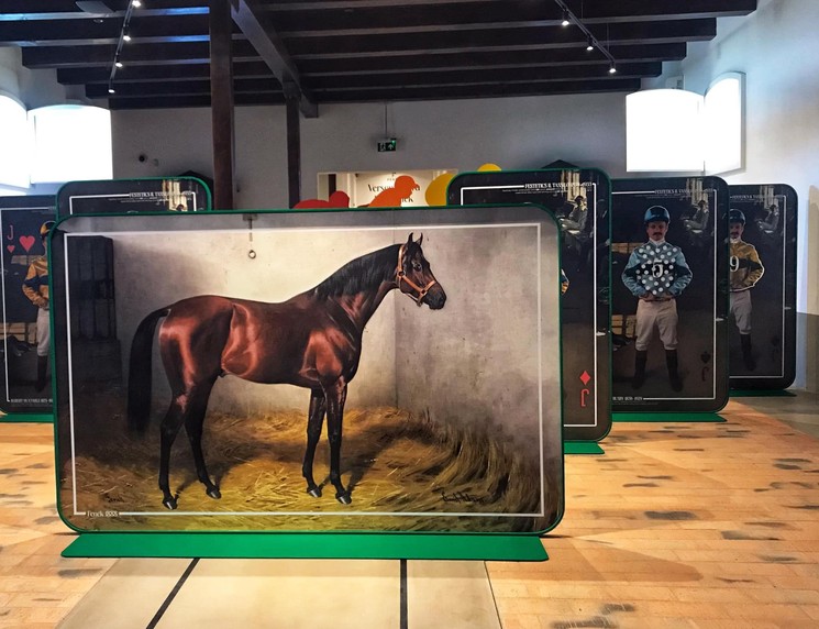 Lovas múzeum kiállítás Keszthelyen, az emlékmúzeum bemutatja a Festeticsek és a lótenyésztés kapcsolatát