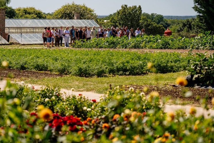 Élet a Krisna-völgyben 2026 - Előadások, séták