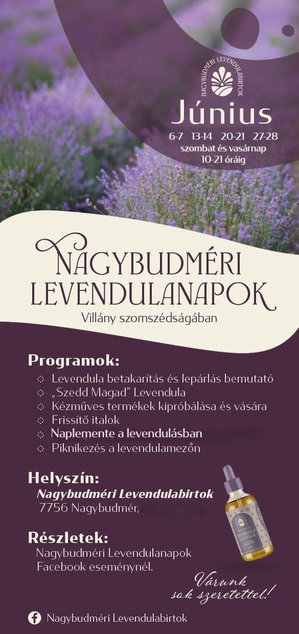 Nagybudméri Levendulanapok 2026 - Levendulaszüret a Villányi Borvidéken