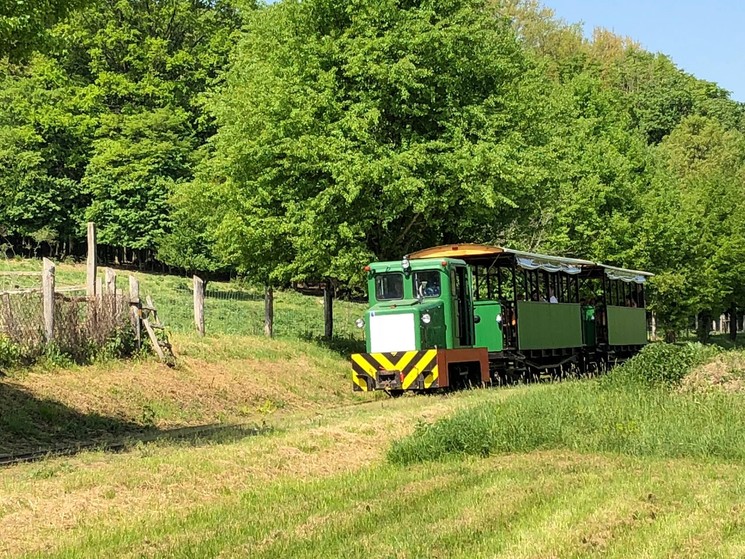 Almamelléki Erdei Vasút programok 2026