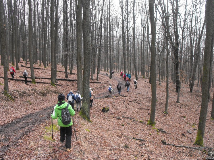 Kékes Turista Egyesület  programok 2026. Túranaptár