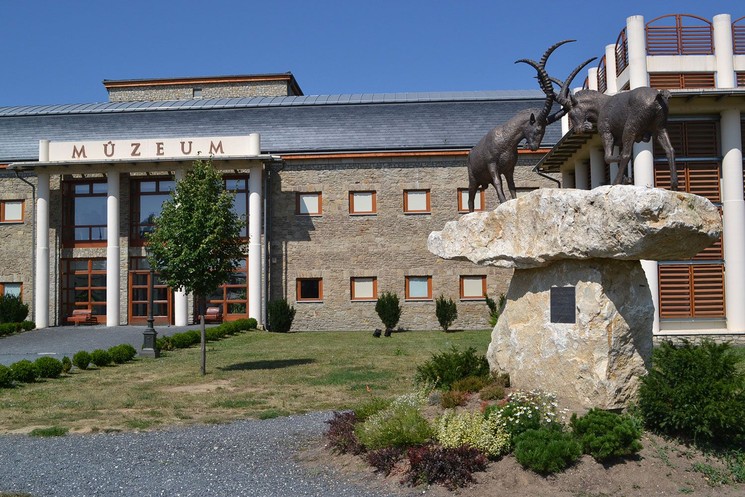 Vadászati Múzeum Keszthelyen nem csak vadászoknak, élményprogramok sokasága trófeakiállítással és afrikai esőerdővel