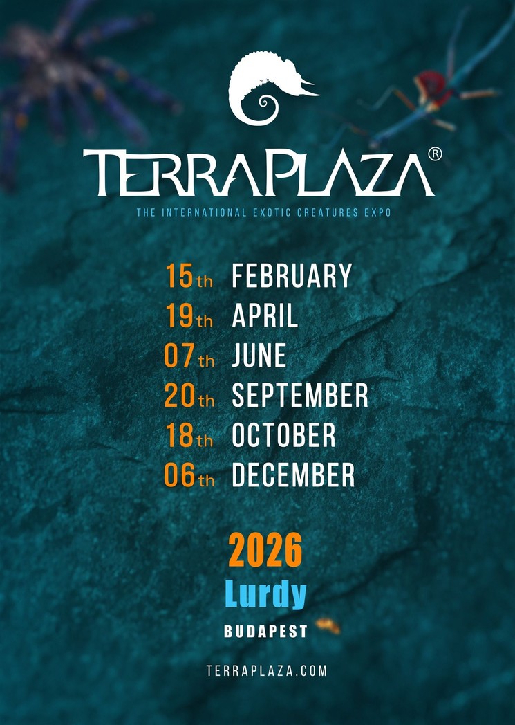 TerraPlaza 2026 Budapest - Egzotikus állat kiállítás