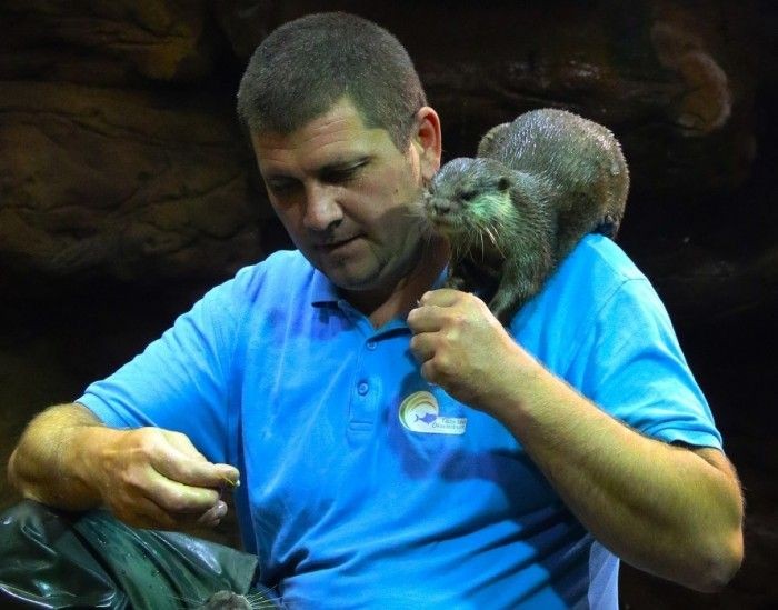 Vidra látványetetés Poroszló 2026 Tisza-tavi Ökocentrum