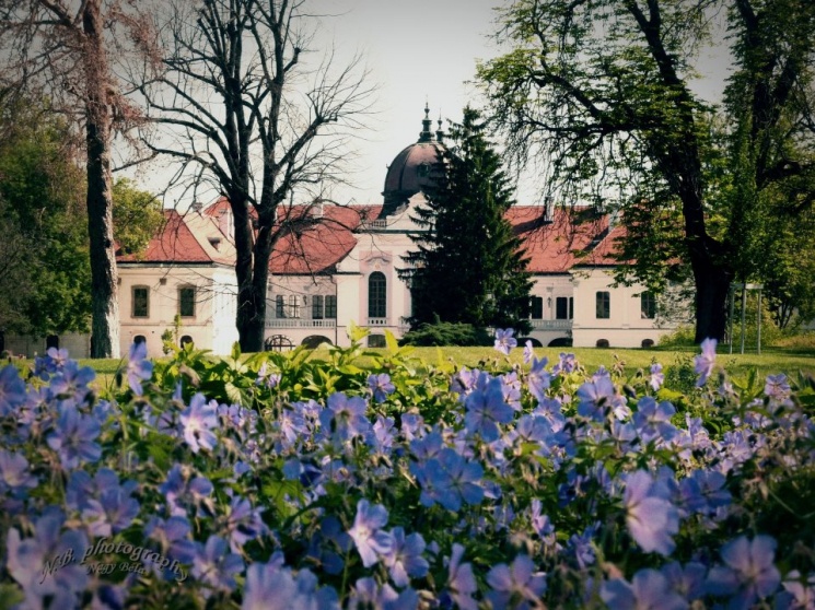 Tárlatvezetés Gödöllői Királyi Kastély 2026