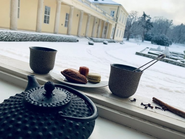 Teadélután a fehérvárcsurgói Károlyi Kastélyban