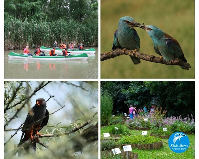 Körösvölgyi Látogatóközpont és Állatpark programok 2026