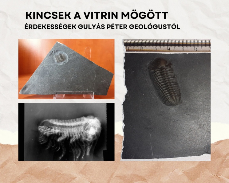 A kőzetek és az őslények világa