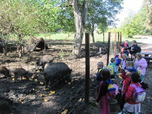Zoopedagógia foglalkozások óvodás és kisiskolás csoportok részére a Körösvölgyi Állatparkban