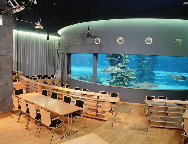 Céges rendezvény Budapest 2026 -  egyedi élmények a Tropicariumban