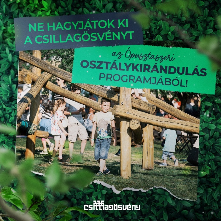 Élmény osztálykirándulás az Európa-rekorder hosszúságú sövénylabirintusban Ópusztaszeren