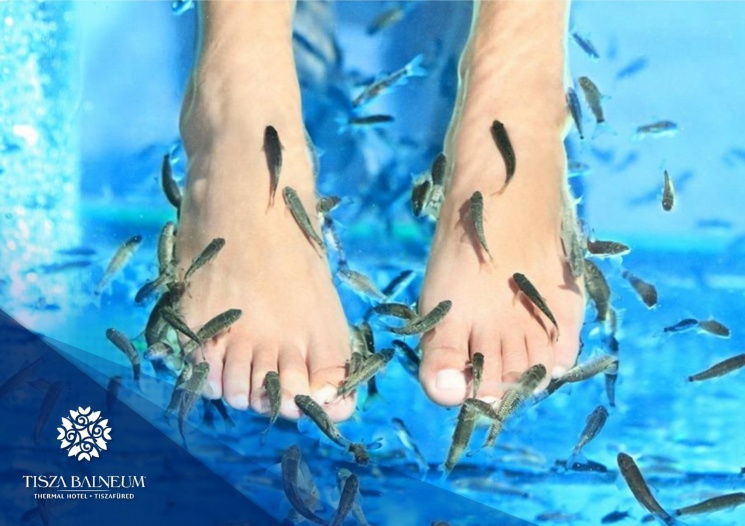 Halpedikűr kezelés Tiszafüred 2026 - Balneum Hotel SPA, Tiszafüred