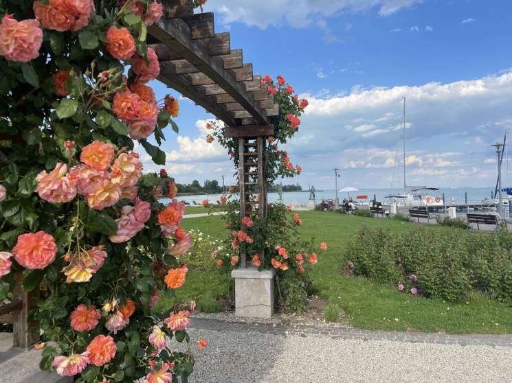 Balatonfüredi programok 2026. július