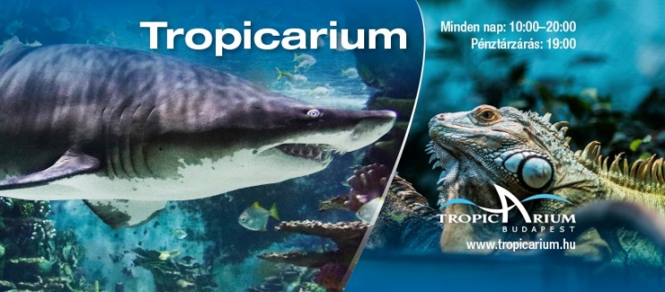 Tropicarium programok 2026 – Cápás élmények, látványetetési időpontok és családi programok Budapesten