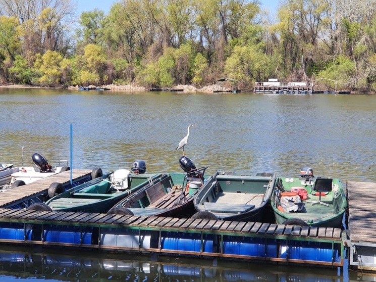 Tiszafüred csónaktúra 2026 - Tisza-tavi csónaktúrák túravezetővel a Szabics Kikötőből